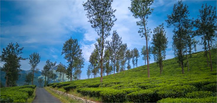 wayanad district in kerala